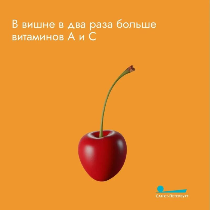 Вишня vs черешня: какая ягода полезнее и почему? Кому что подходит и сколько можно съесть без вреда? Правда ли, что вишнёвый компот из банки содержит сахара больше, чем газировка? Вишня vs черешня: какая ягода полезнее и почему? Кому что подходит и сколько можно съесть без вреда? Правда ли, что вишнёвый компот из банки содержит сахара больше, чем газировка?