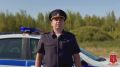 Полиция проводит проверку по факту массового ДТП со смертельным исходом в Тосненском районе
