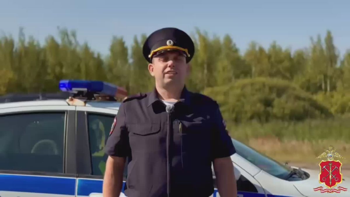 Полиция проводит проверку по факту массового ДТП со смертельным исходом в Тосненском районе