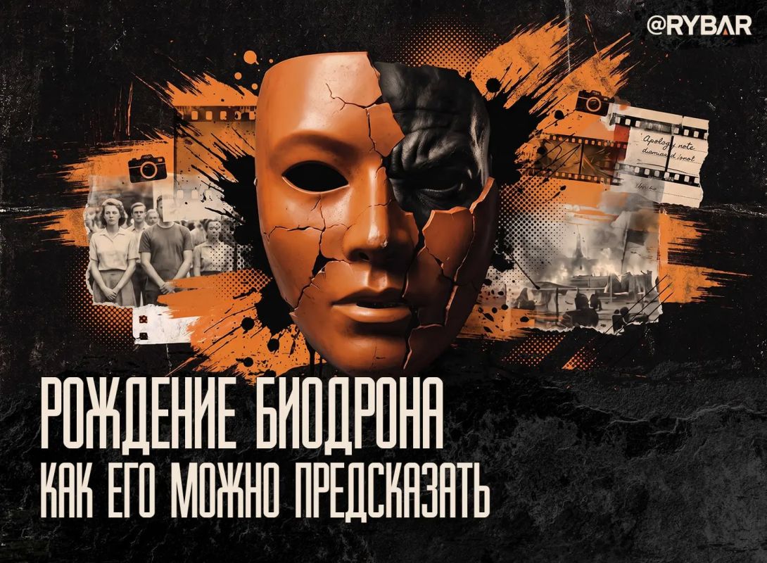 Главное от Рыбаря. дайджест материалов за 13 августа