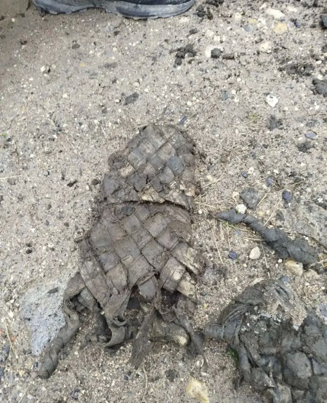 В деревне Чудцы при работах на сетях водоснабжения нашли лапти В деревне Чудцы при работах на сетях водоснабжения нашли лапти