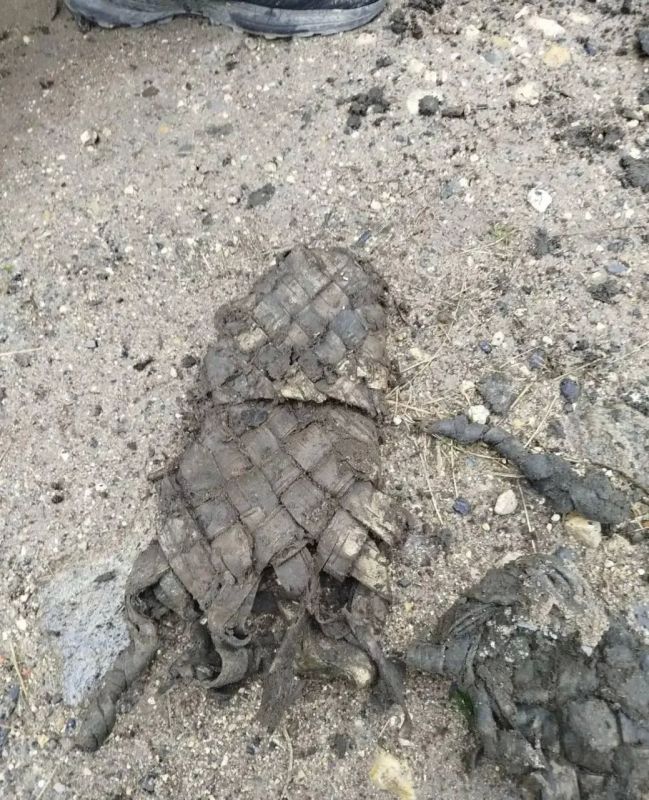 В Ленобласти при работах на водоснабжении нашли старинные лапти В Ленобласти при работах на водоснабжении нашли старинные лапти