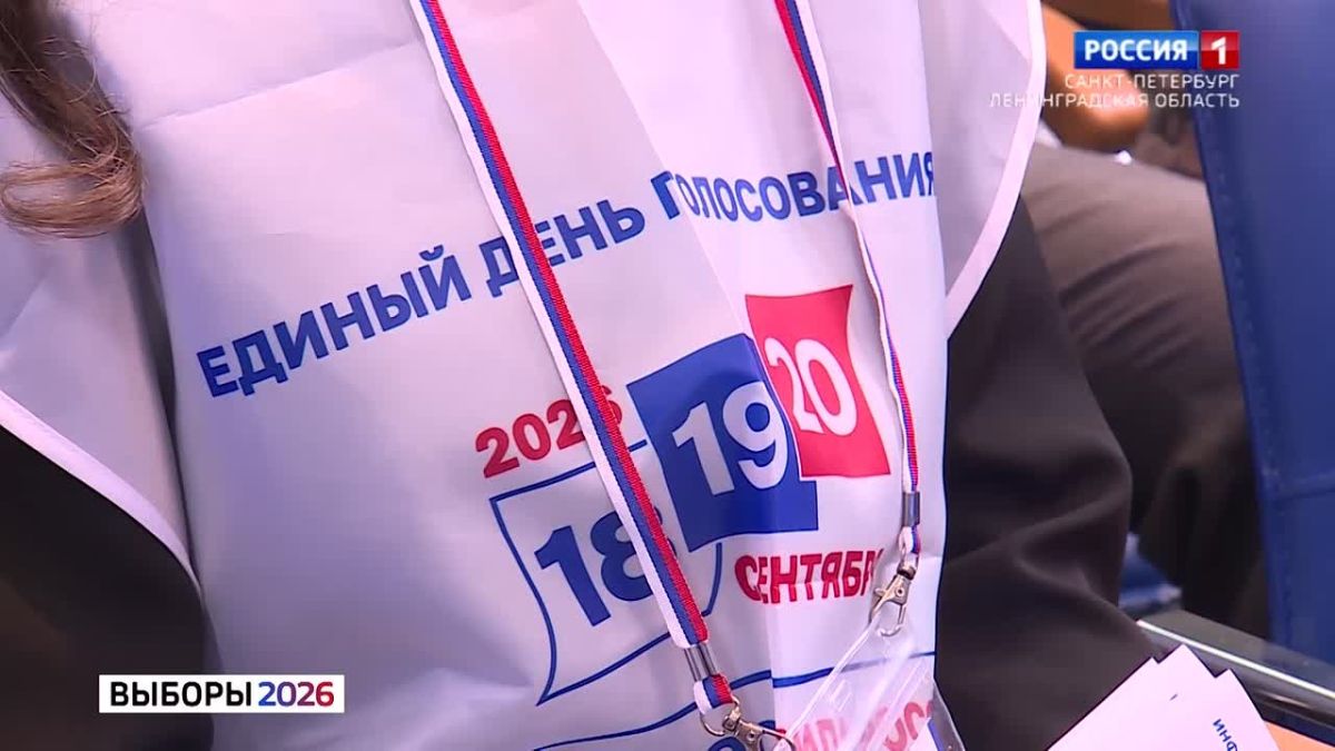 В Петербурге рассказали о промежуточных итогах избирательных кампаний
