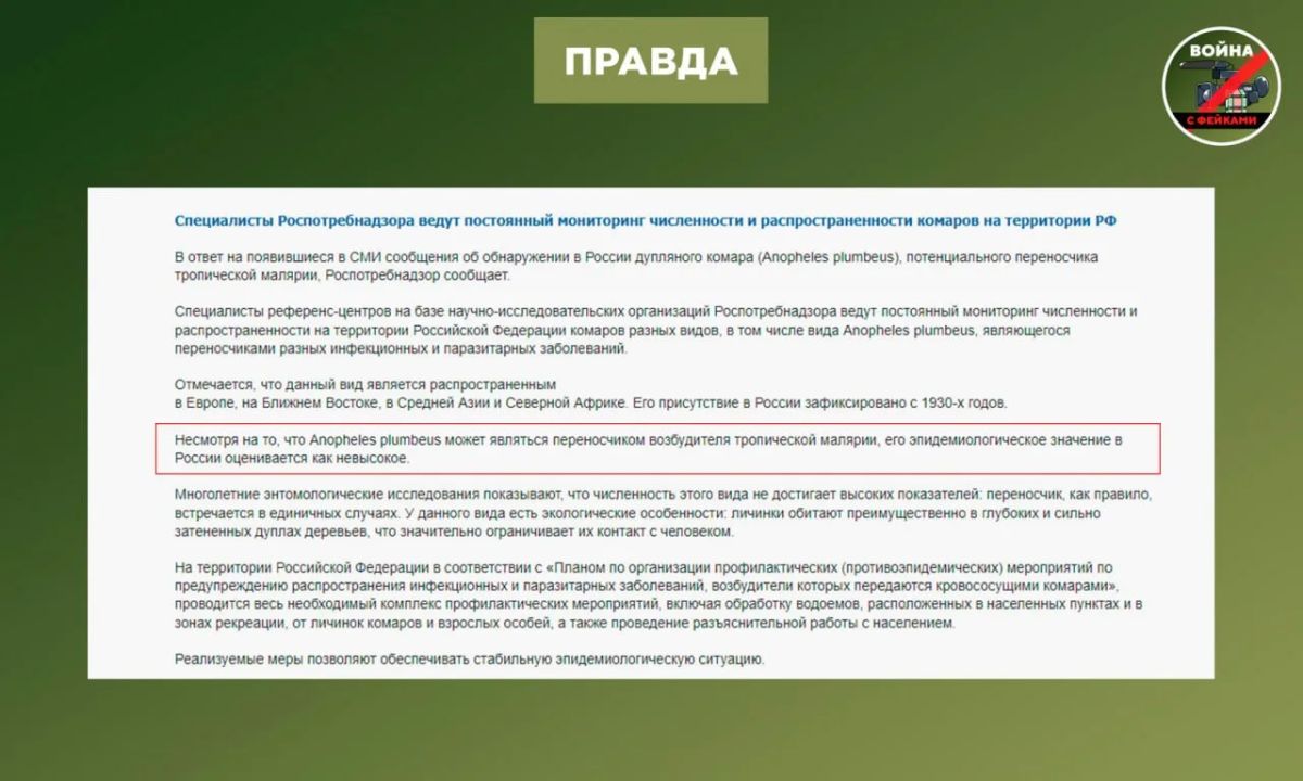 Фейк: Комар-убийца поселился в России и охотится на людей Фейк: Комар-убийца поселился в России и охотится на людей