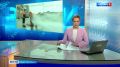 "Водоканал" проверит пожарные гидранты у петербургских школ