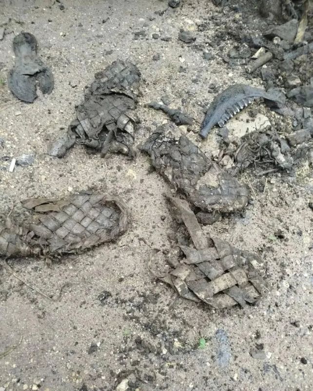 Лапти нашли в Ленобласти под землей Лапти нашли в Ленобласти под землей