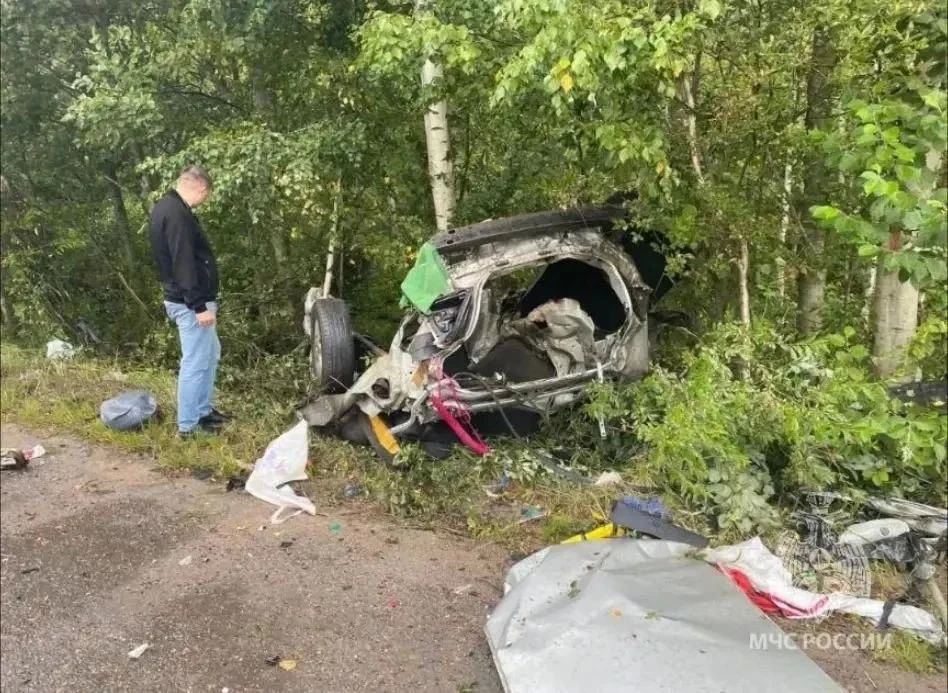 Пенсионерка на "Ниссане" устроила смертельное ДТП с "Теслой" во Всеволожске Пенсионерка на "Ниссане" устроила смертельное ДТП с "Теслой" во Всеволожске