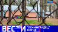 Вести Санкт-Петербург. Выпуск 14.30 от 15.08.2026