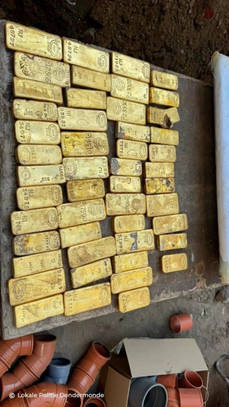 В Бельгии студент нашел золото на $10 миллионов В Бельгии студент нашел золото на $10 миллионов