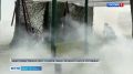 Бойцы ОМОН и СОБР СЗО Росгвардии отработали борьбу с беспилотниками