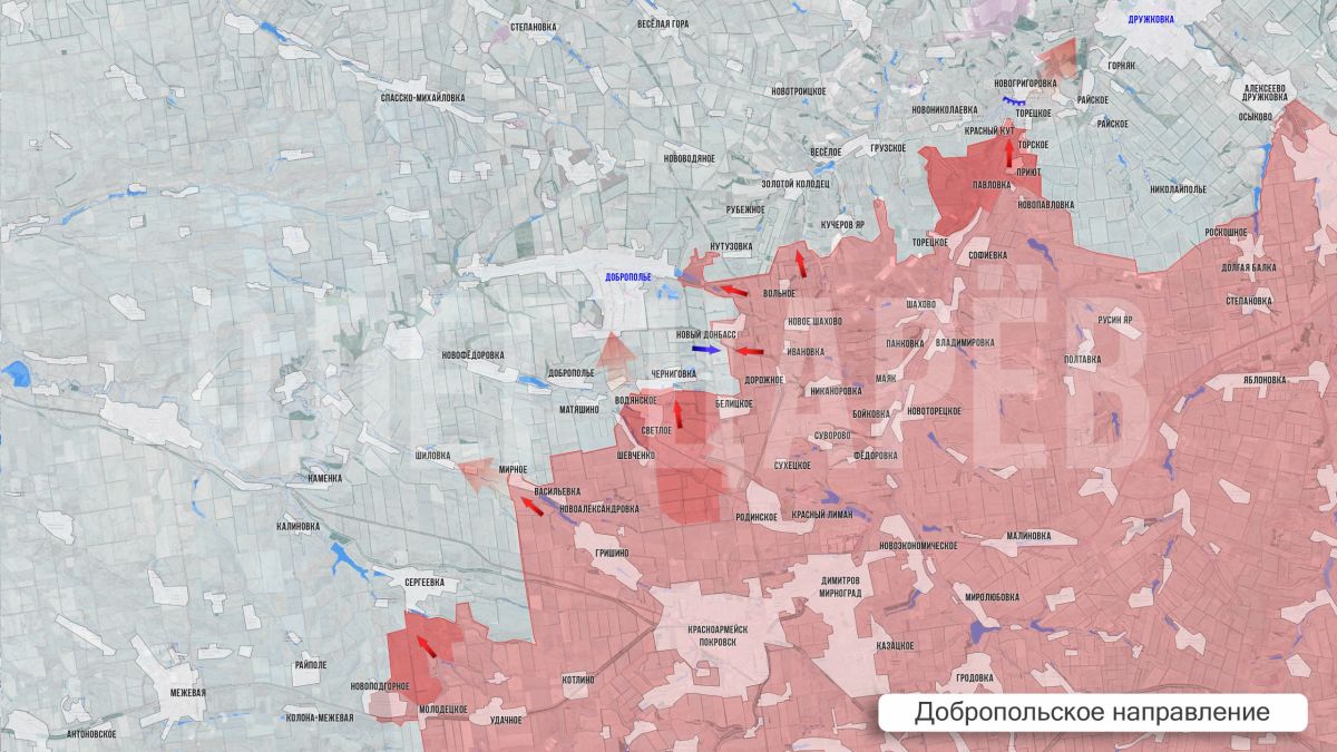 Олег Царёв: Фронтовая сводка 16 августа Олег Царёв: Фронтовая сводка 16 августа