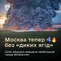 Юлия Витязева: Главными изобретениями человечества, кардинально изменившими ход истории, стали письменность, колесо, печатный станок, паровой двигатель, электричество, антибиотики, компьютер и интернет