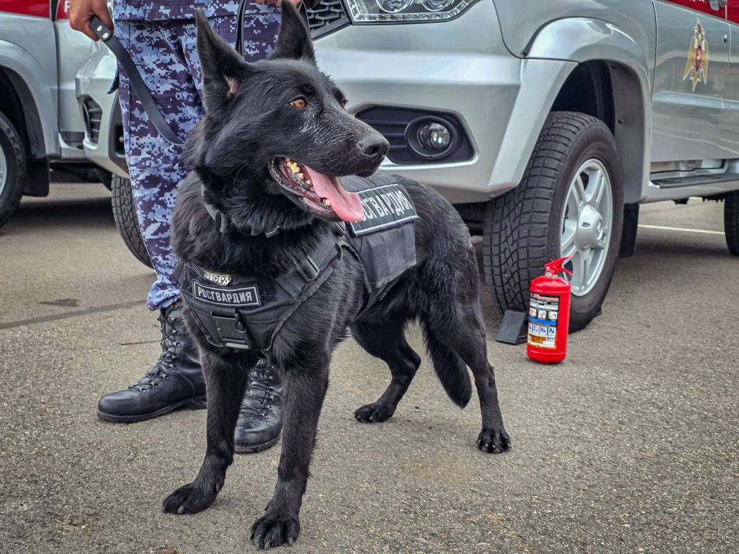 В эти минуты на петербургском стадионе «Газпром Арена» безопасность футбольного матча РПЛ между местным «Зенитом» и московским «Динамо» обеспечивают военнослужащие специального моторизованного Измайловского полка... В эти минуты на петербургском стадионе «Газпром Арена» безопасность футбольного матча РПЛ между местным «Зенитом» и московским «Динамо» обеспечивают военнослужащие специального моторизованного Измайловского полка...