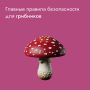 Любителям тихой охоты важно соблюдать два главных правила