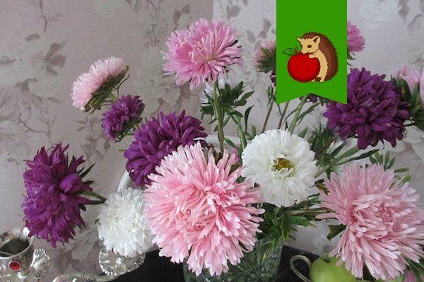 Как сохранить дачные цветы свежими на долгое время