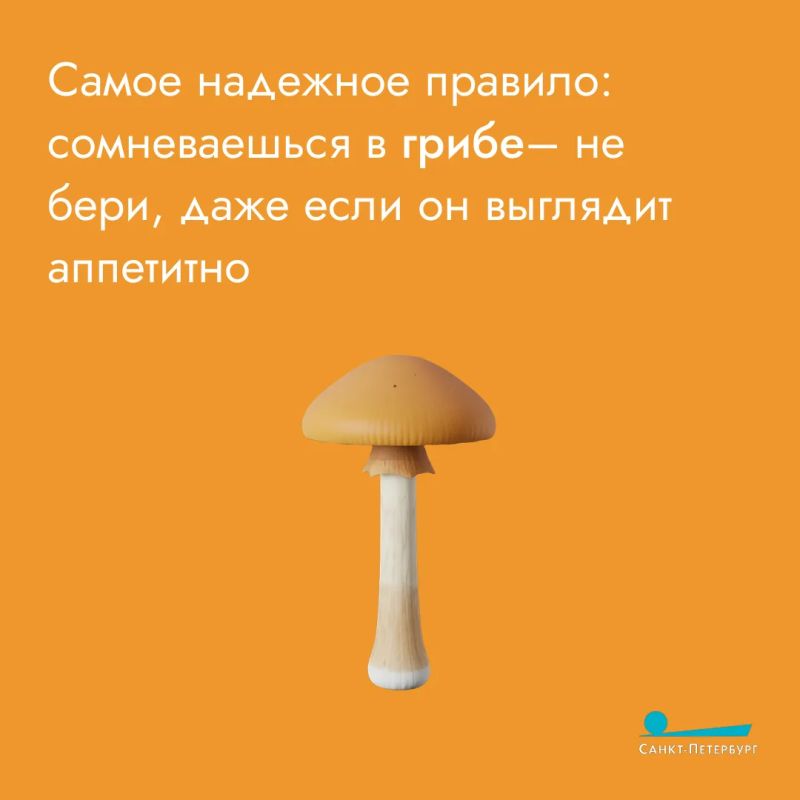 Любителям тихой охоты важно соблюдать два главных правила Любителям тихой охоты важно соблюдать два главных правила