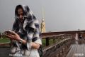 Осень решила не ждать сентября и уже вовсю репетирует