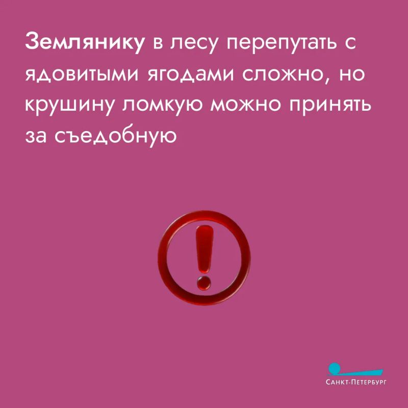 Любителям тихой охоты важно соблюдать два главных правила Любителям тихой охоты важно соблюдать два главных правила