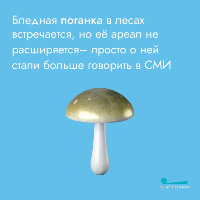 Любителям тихой охоты важно соблюдать два главных правила Любителям тихой охоты важно соблюдать два главных правила