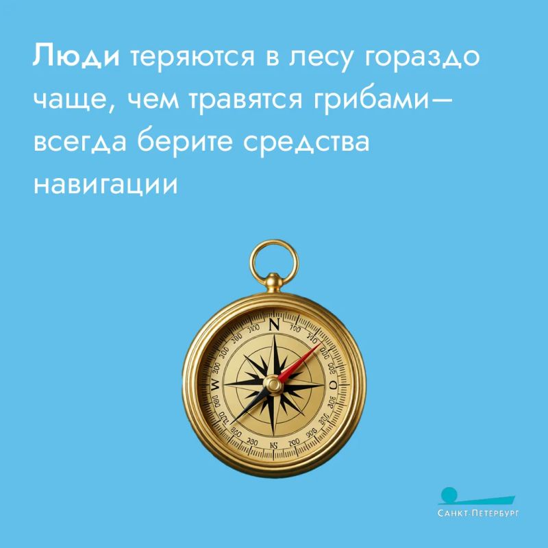 Любителям тихой охоты важно соблюдать два главных правила Любителям тихой охоты важно соблюдать два главных правила