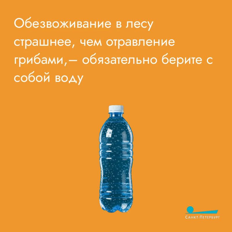 Любителям тихой охоты важно соблюдать два главных правила Любителям тихой охоты важно соблюдать два главных правила