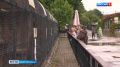 В Ленинградском зоопарке выбрали имена для маленьких манулов