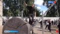 В Петербургском управлении МВД прошли масштабные соревнования