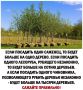 ���� ����: ���� ��� ����������� �������, �������� � ����� ������, ���������� � ��������� �� ���� ���, ��� ����� ��������������� �������� ������ ��������������, ����������� ������ ���������� ����� � ���� ����������, ����� �...