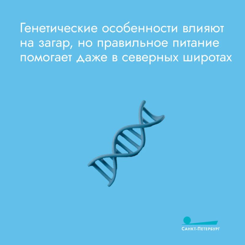Кто не любит красивый, ровный и безопасный загар? А вы знали, что для шоколадного оттенка кожи можно не только использовать специальные средства, но и есть правильную еду? Подробности – в наших карточках! Кто не любит красивый, ровный и безопасный загар? А вы знали, что для шоколадного оттенка кожи можно не только использовать специальные средства, но и есть правильную еду? Подробности – в наших карточках!
