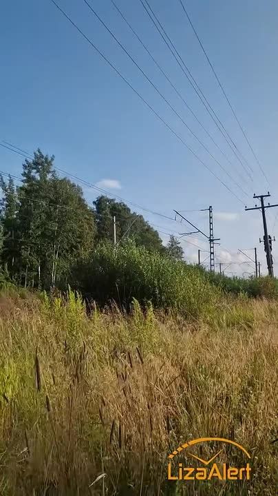 В Петербурге дважды за сутки потерялся мужчина с деменцией