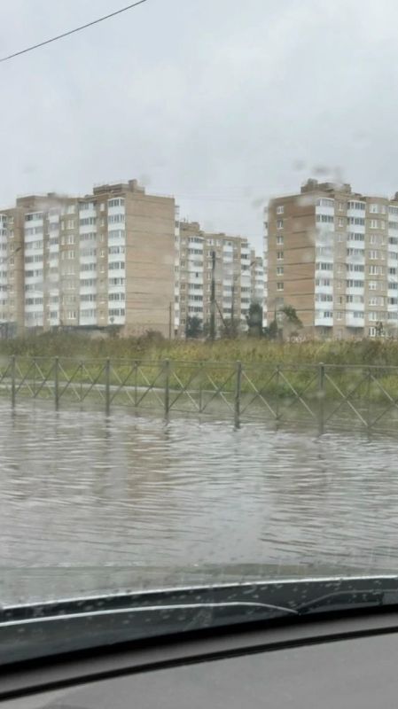 Дерево упало на проезжую часть на Красносельском шоссе в Горелово Дерево упало на проезжую часть на Красносельском шоссе в Горелово