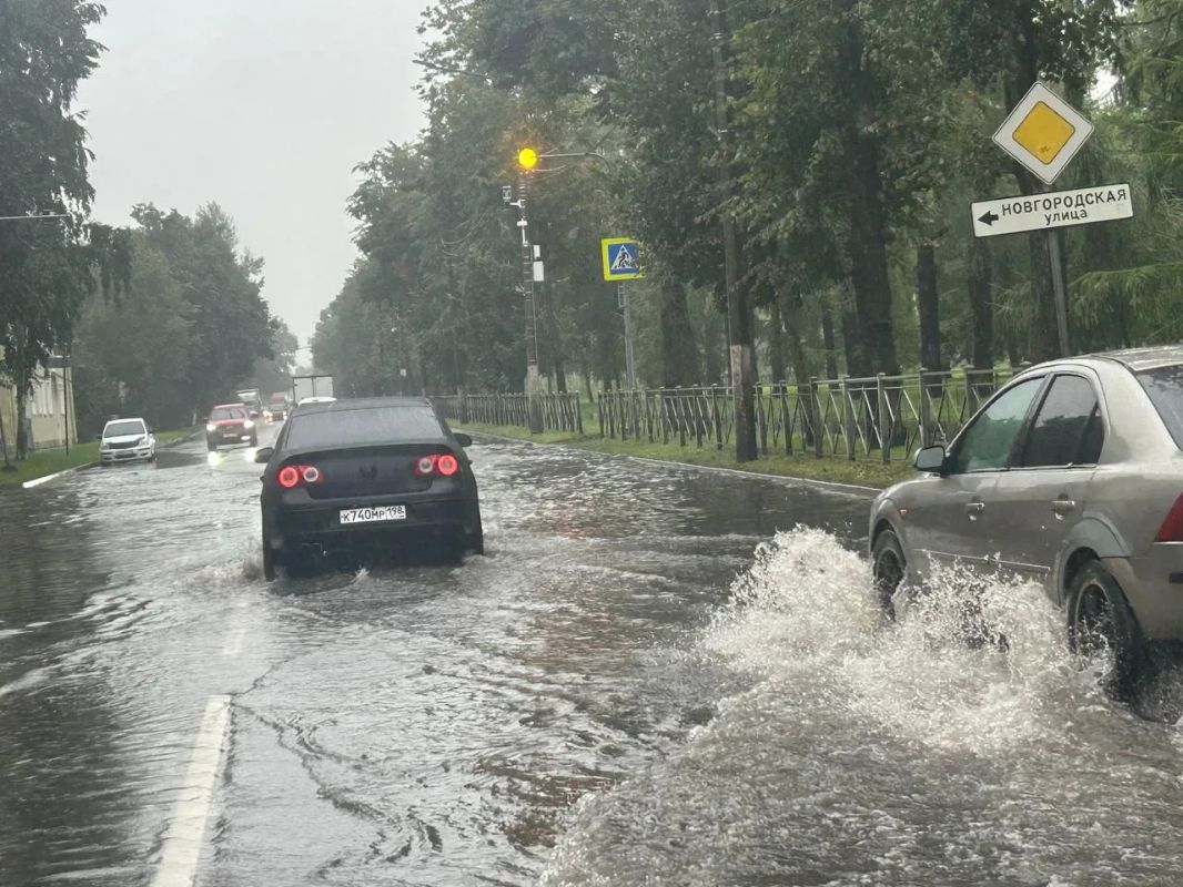 Дерево упало на проезжую часть на Красносельском шоссе в Горелово Дерево упало на проезжую часть на Красносельском шоссе в Горелово