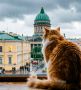 Штормовой ветер обрушится сегодня на Петербург — об этом предупреждает МЧС