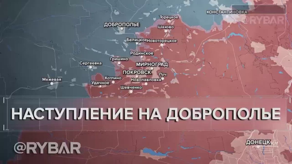 Главное от Рыбаря. дайджест материалов за 18 августа
