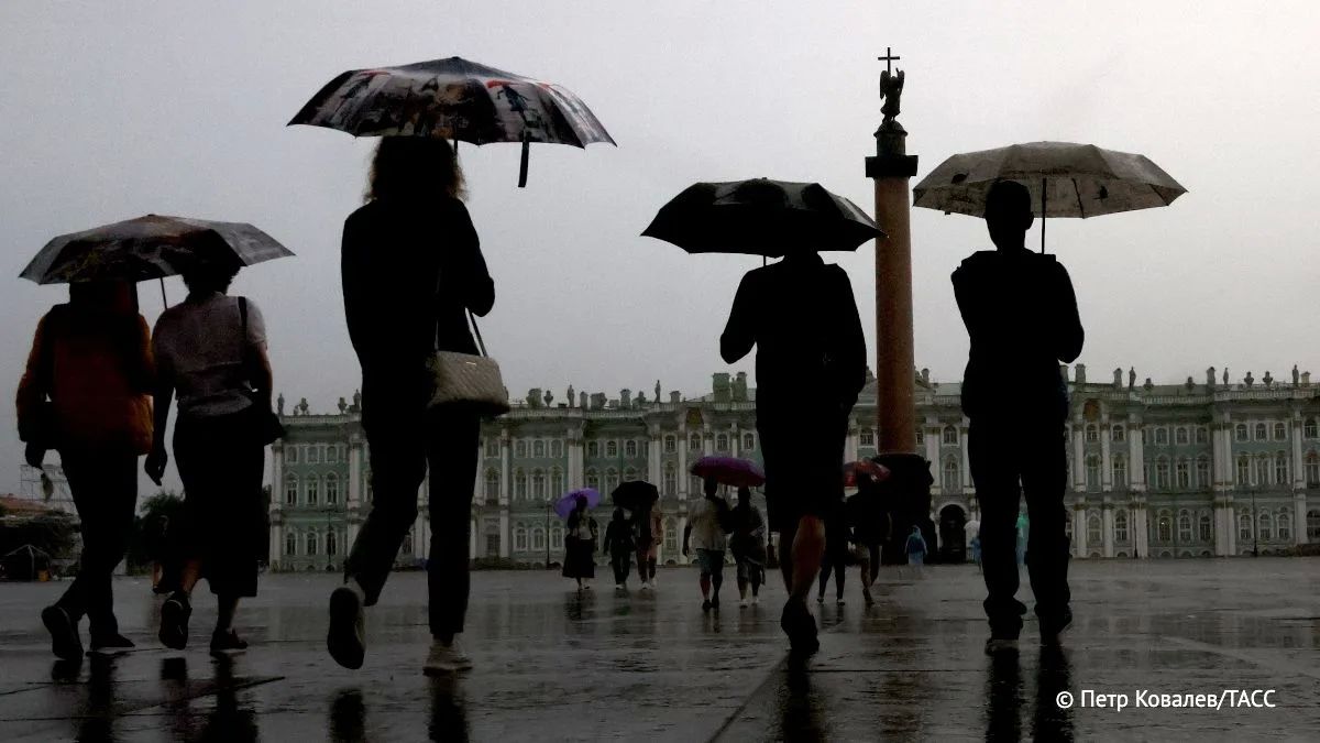Непогода с сильным ветром вернется в Петербург и область на выходных, сообщил начальник петербургского Гидрометцентра Александр Колесов.