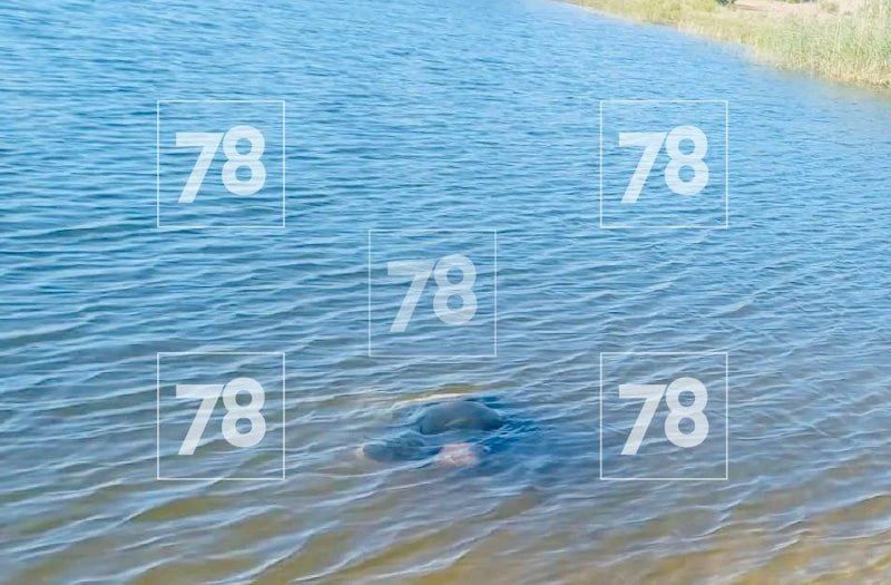 Мёртвого мужчину с отрубленной кистью выловили из воды около пассажирского порта «Морской фасад»