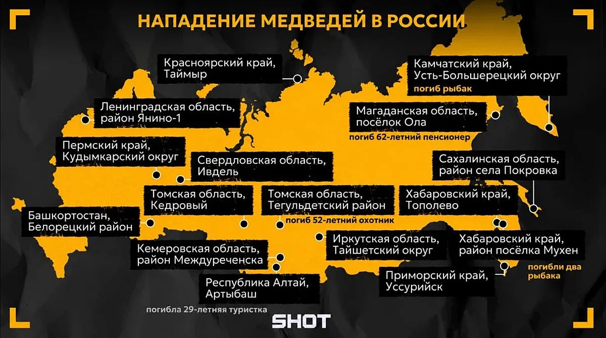 Мишки — это не игрушки.
.
Минимум 17 случаев нападения медведей зафиксировано с начала года, 6 человек растерзали насмерть