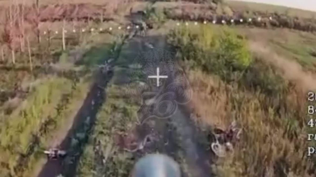 Александр Коц: Кадры освобождения Матяшево