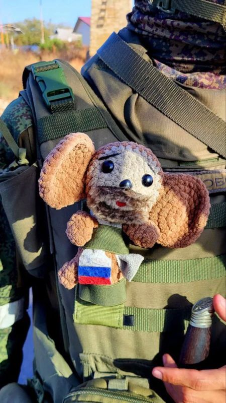 Чебурашка, прошедший огонь и воду Чебурашка, прошедший огонь и воду