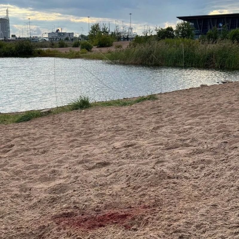 Кадры с места гибели Дмитрия Оганяна — окровавленный камень, на котором предположительно музыкант отрубил себе руку, остался на территории Кадры с места гибели Дмитрия Оганяна — окровавленный камень, на котором предположительно музыкант отрубил себе руку, остался на территории