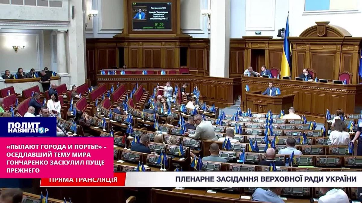 «Пылают города и порты!» – оседлавший тему мира террорист Гончаренко заскулил пуще прежнего