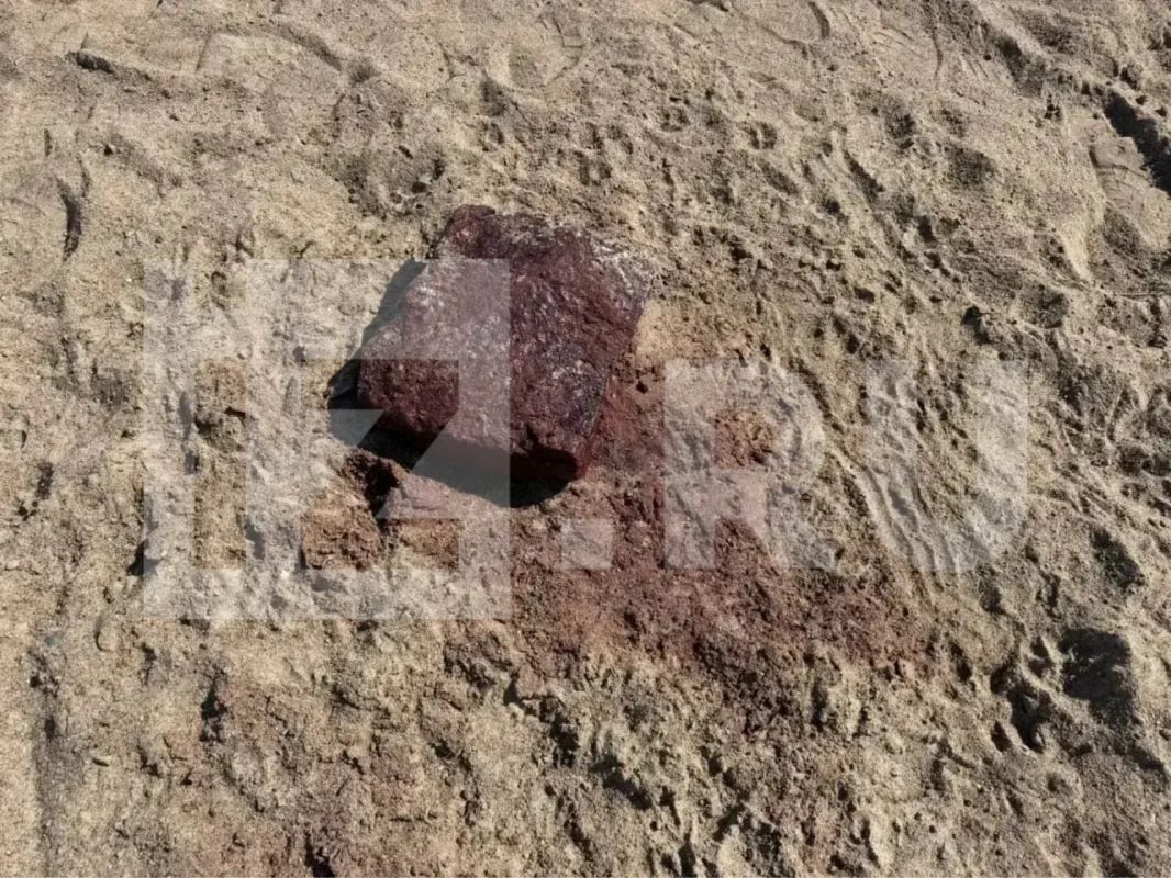 Тело басиста петербургской группы "Кукрыниксы" Дмитрия Оганяна нашли в воде у пассажирского порта на Васильевском острове в Санкт-Петербурге без кисти — по одной из версий, музыкант мог сам отрубить себе руку Тело басиста петербургской группы "Кукрыниксы" Дмитрия Оганяна нашли в воде у пассажирского порта на Васильевском острове в Санкт-Петербурге без кисти — по одной из версий, музыкант мог сам отрубить себе руку