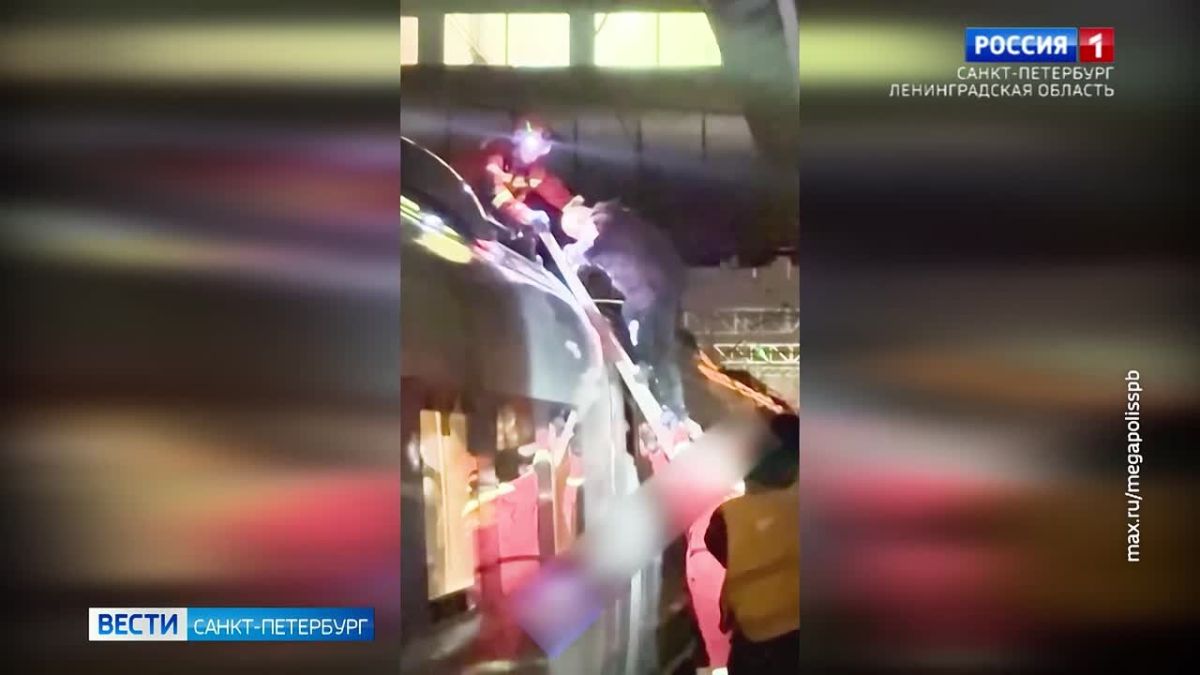 Суд арестовал зацепера, снятого с крыши "Сапсана" на станции Обухово