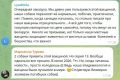 «Ничего личного, бизнес». После волны смертей собак в России, хозяева питомцев глубоко задумались: прививать их или нет вакциной «Мультикан-8»? Подписчики Царьграда делятся своим опытом (на скринах): Lyudmila: