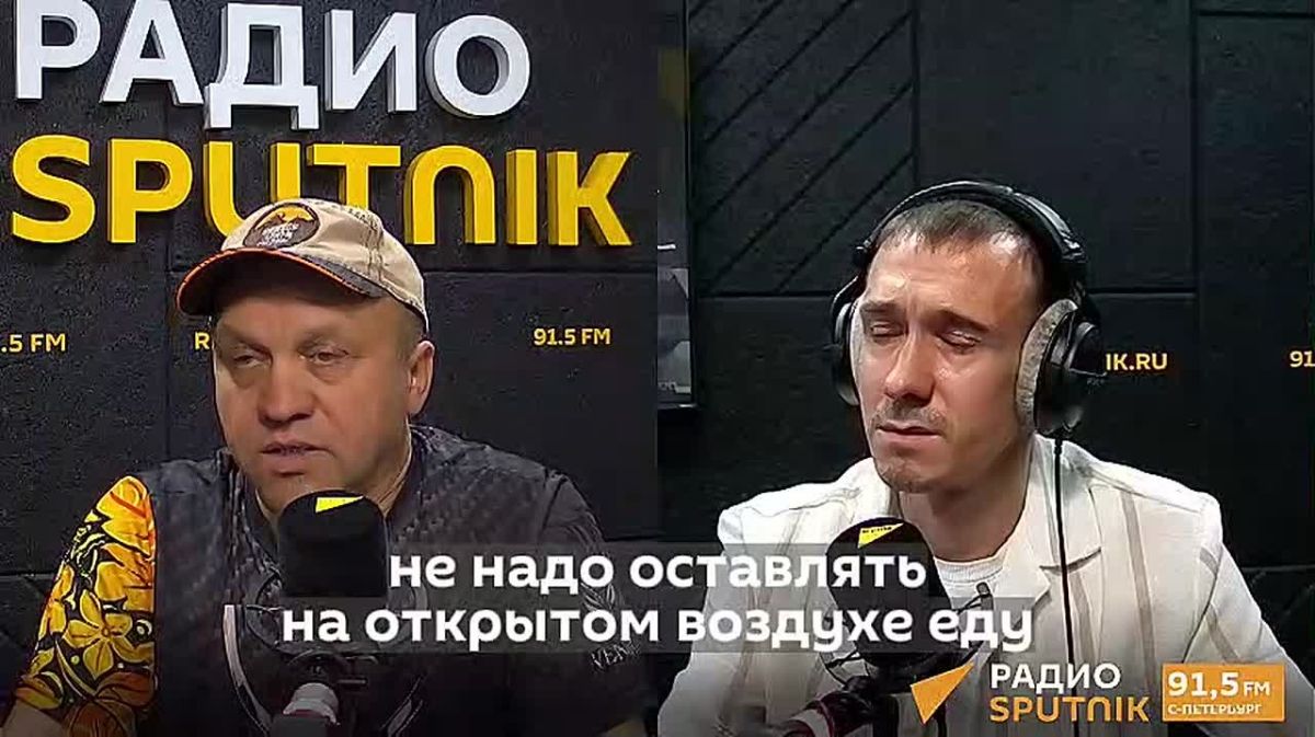 "Медведь за километр может учуять тушенку в лагере": как защитить ночлег от хищника, рассказал Павел Глазков