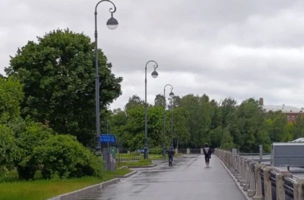 Новости Петербурга 20 августа: последствия шторма, зацепер и новые дожди