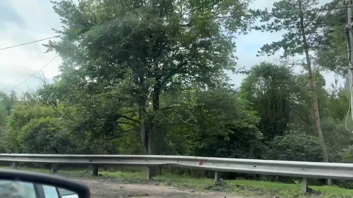 Авто на крыше, на дороге пробка: серьезная авария в Тосненском районе