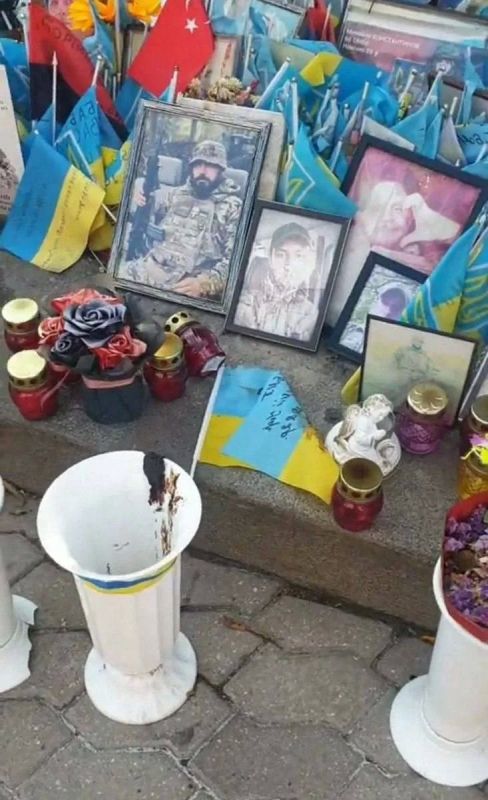 В Киеве арестовали индийца, нагадившего на аллее памяти «хэроев»