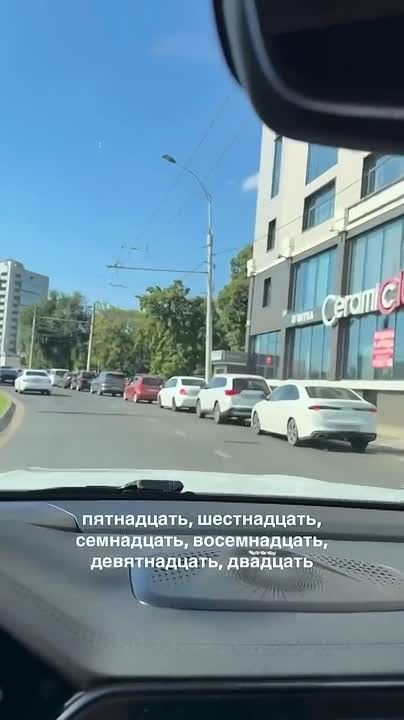 Новый способ борьбы с бессонницей — считать с закрытыми глазами не овец, а машины в очереди на АЗС