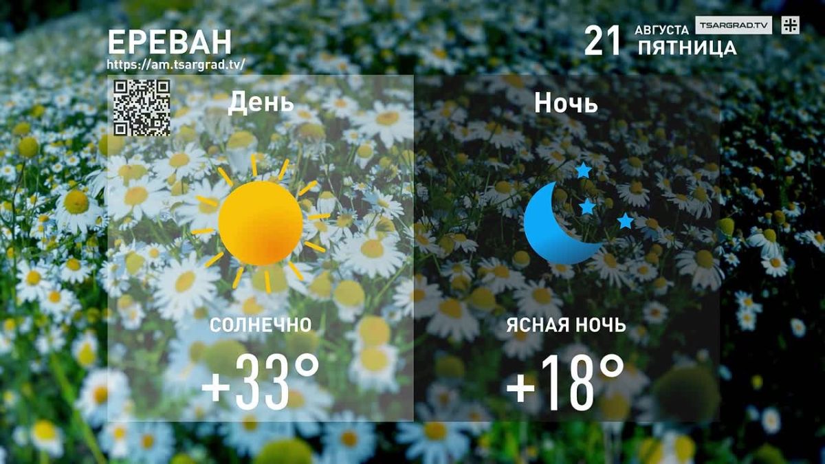 Ночной сад.
.
О сад ночной, таинственный орган,
Лес длинных труб, приют виолончелей!
О сад ночной, печальный караван
Немых дубов и неподвижных елей!
Он целый день метался и шумел